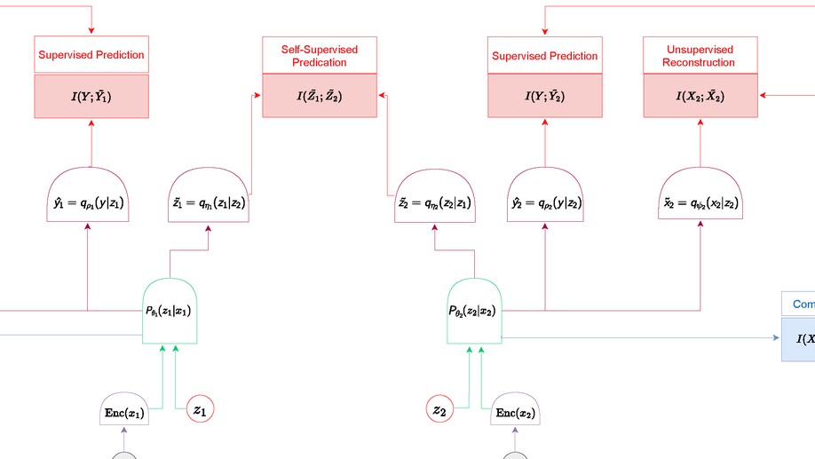 To Compress or Not to Compress--Self-Supervised Learning and Information Theory: A Review